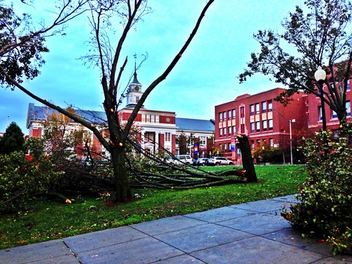 Minor destruction in front of Somerville HS & City Hall after the visit from Sandy. by BradKellyPhoto