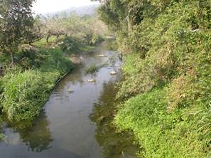 食水嵙溪原貌，圖片提供：台中縣大甲溪生態環境維護協會