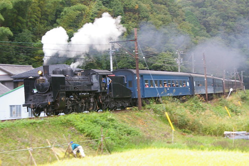 Oigawa Railway C56 series near Fukuyo in Shimada, Shizuoka, Japan /Oct 7, 2012