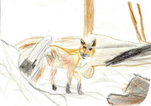 Lucas's Fox in the Snow (Age 9)