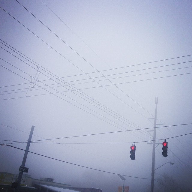 Foggy morning walk
