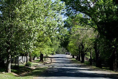 Beyer's Avenue, Hill End