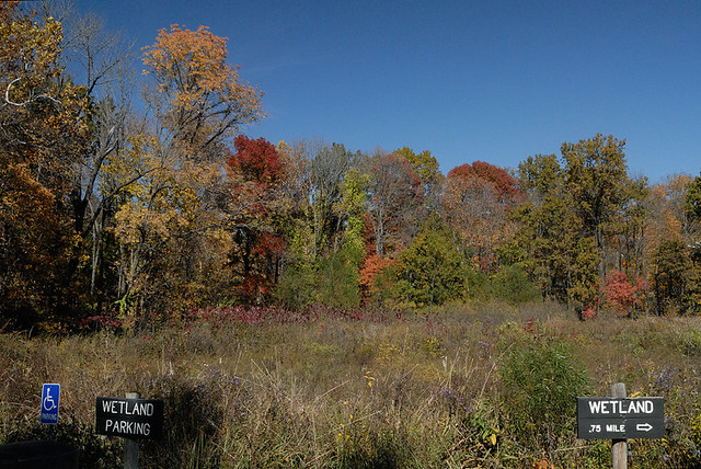 Shaw Nature Reserve (the Arboretum), in Gray Summit, Missouri, USA - wetland parking
