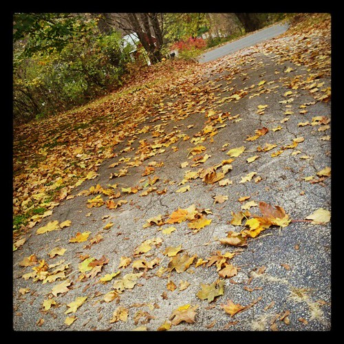 #fall #driveway #leaves #leaf #happy