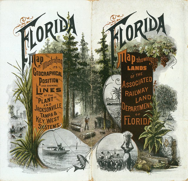 Township map of Peninsular Florida issued by the Associated Railway Land Department of Florida 1890