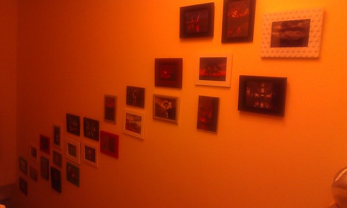 The photo wall is growing. I think it is alive by xxx zos xxx