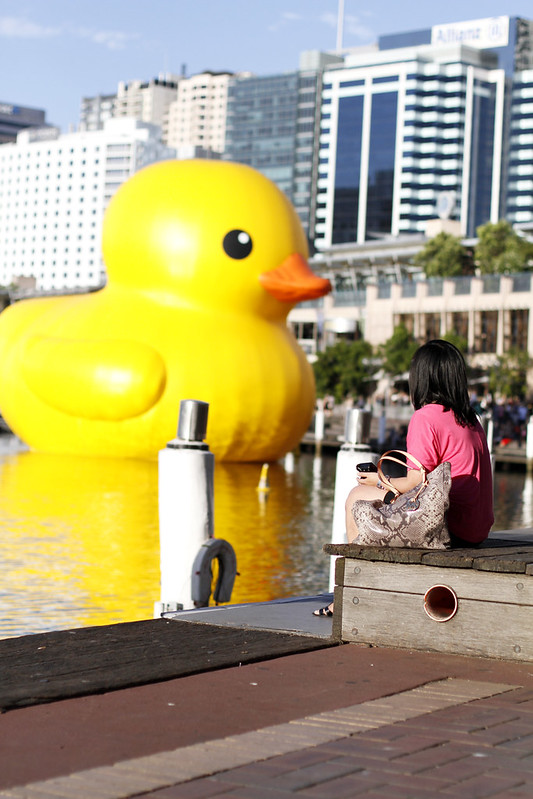 Giant Rubber Duck in Sydney