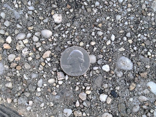Pebbles and a Coin