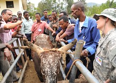 Ethiopia, U.S. partner for veterinarian project