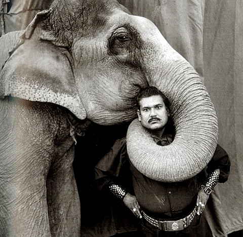 Mark, Mary Ellen (1940- ) - 1990 Ram Prakash Singh with his elephant, Shyama, at the Great Golden Circus in Ahmedabad, India by RasMarley