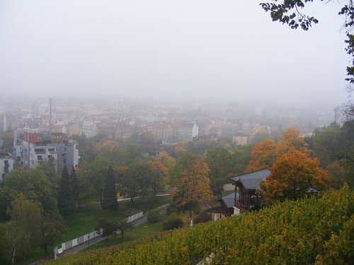 Misty October day.