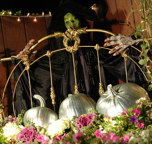 Halloween witch with a brass bed of flowers, wicked hands, decorative cabbage, and silver pumpkins, Half Moon Bay, California, USA by Wonderlane