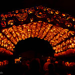 The Hallow Tunnel of Pumpkins