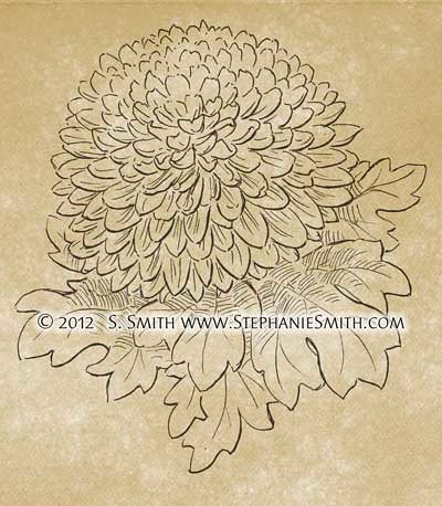 Ink Drawing of Chrysanthemum