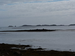 Tresco - Isles of Scilly 