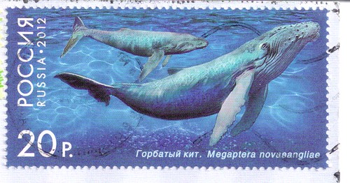 Russia Postage Stamp