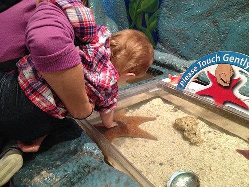 pretty sure she would have squeezed that starfish to death if I let her.