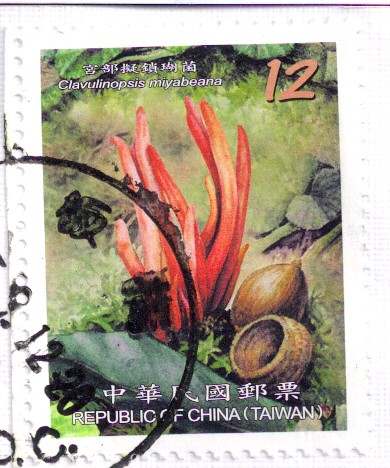 Taiwan Stamp