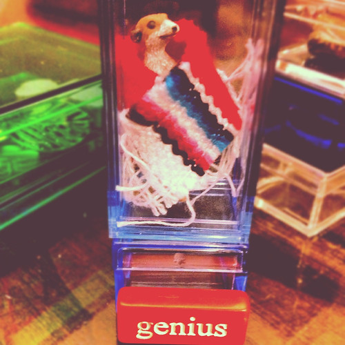 Genius (293/366) by elawgrrl
