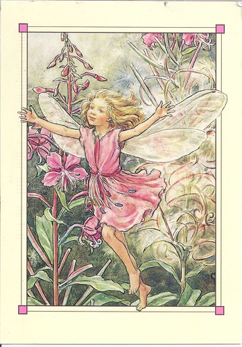 The Rose Bay Willow Herb Fairy-Joy Cicely Mary Barker