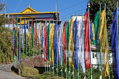 18  Sikkim