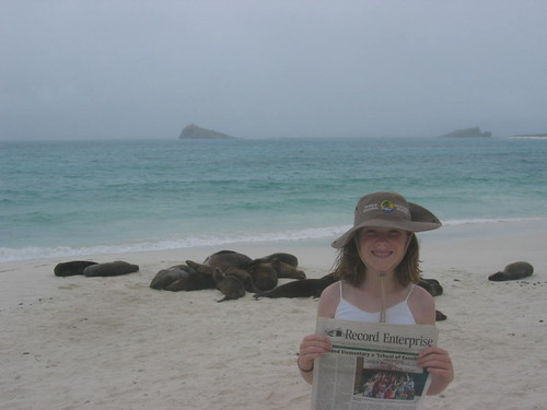 Reading the Local Paper in Front of Sea Lions, Galapagos