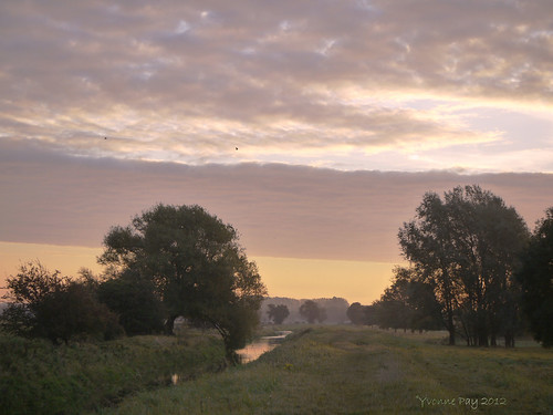 Dawn by yvonnepay615