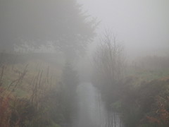 Hill Fog