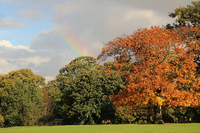 Greenwich Park rainbow