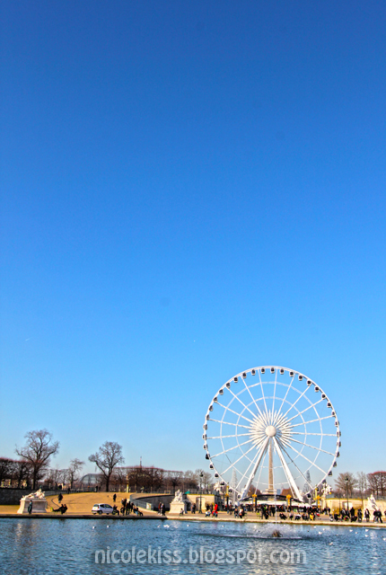 Paris Ferris Wheel