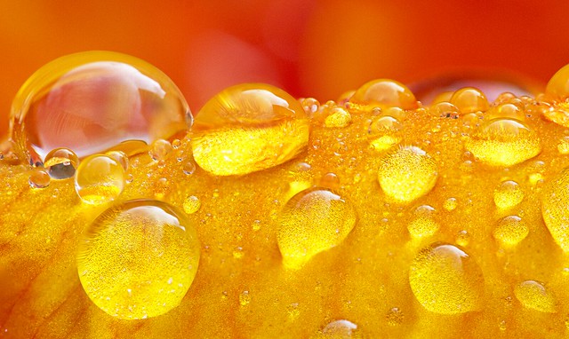 Yellow droplets