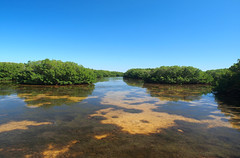 Weedon Island Preserve