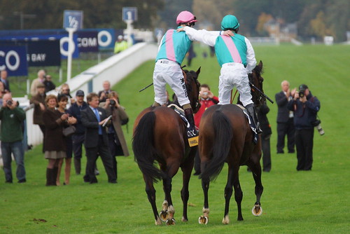 Farewell mighty Frankel by CharlesFred