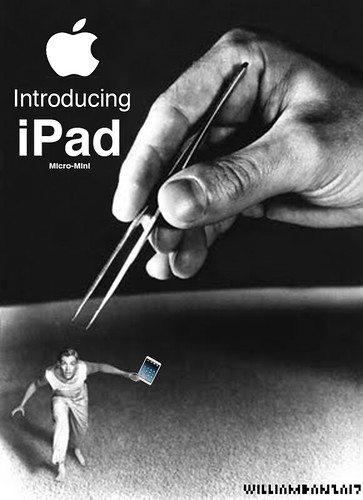 INTRODUCING iPAD MICO-MINI by Colonel Flick