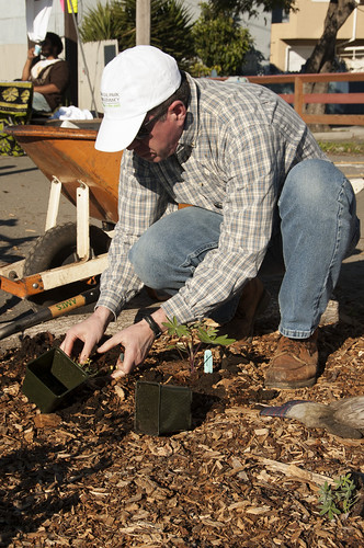 Alex Friend, station director of the U.S. Forest Service’s Pacific Southwest Research Station, readies plants for the Richmond Edible Forest. The station’s involvement is part of a larger effort by Urban Tilth to connect with residents, particularly children, to help them learn more about their local environment. (U.S. Forest Service photo)
