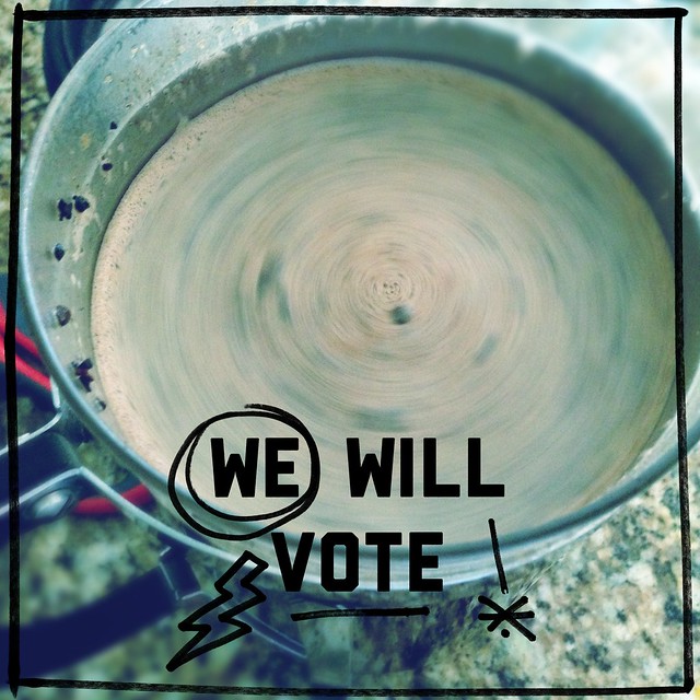 We Will Vote