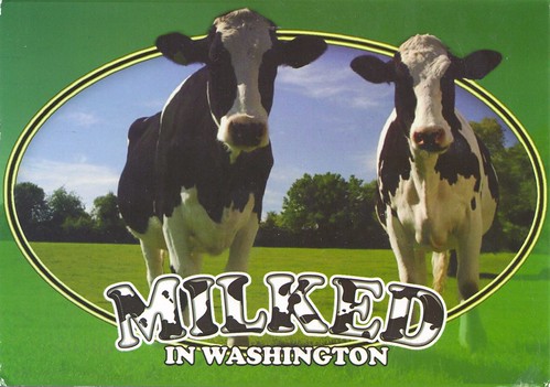 Cows Milked in Washington