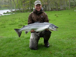 Beautiful salmon from Norway