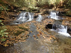  Small Falls on Martin Creek 