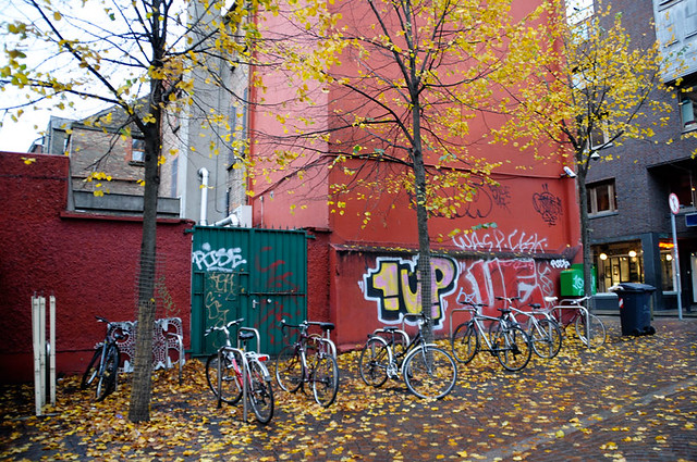 fall and graffiti