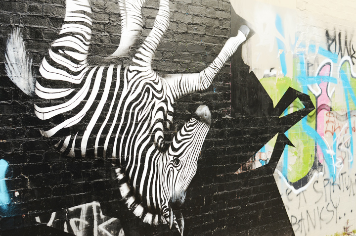 zebra wall