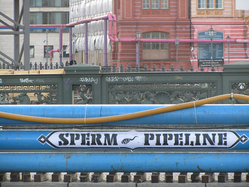 Sperm pipeline in Berlin
