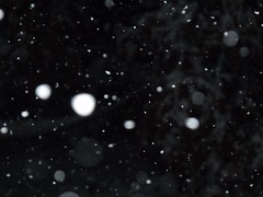 snowfall by Teckelcar