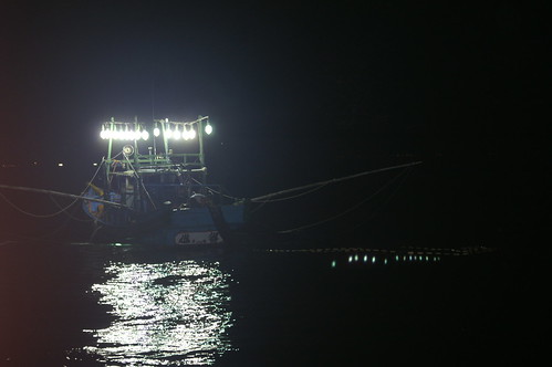 隨著科技進步，燈火漁業集魚的方式更有效率，漁獲效益大幅提高。（圖片來源：水產試驗研究所）