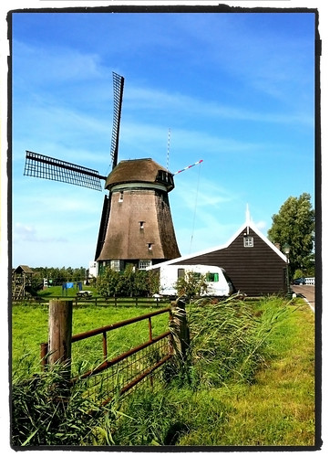 When in Holland, take photos of windmills