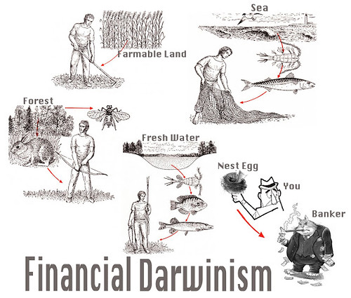 FINANCIAL DARWINISM