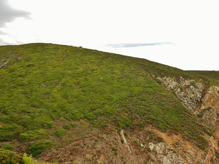 Bushy Terrain on Cabo Da Roca Hike