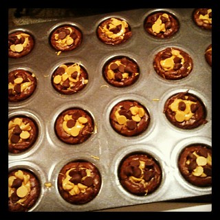 Peanut Butter Cup Brownies for #racing banquet tomorrow #peanutbutter #brownies #yumo
