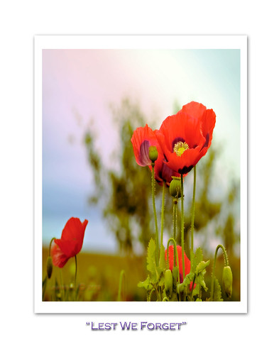 "Lest We Forget" by The Dance of Life by D' Image Miner ~ Lisa 1377
