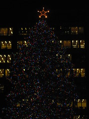 2012 Chicago Holiday Tree Lighting